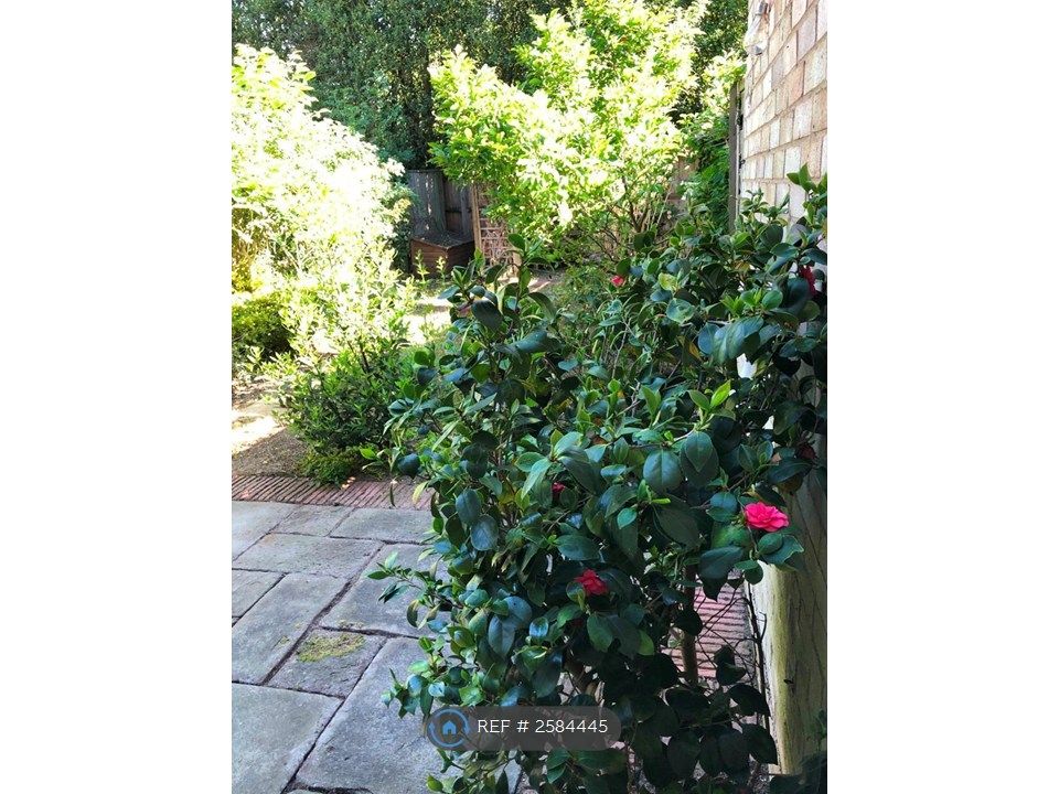 Property photo 2 of 11 Rear Garden
