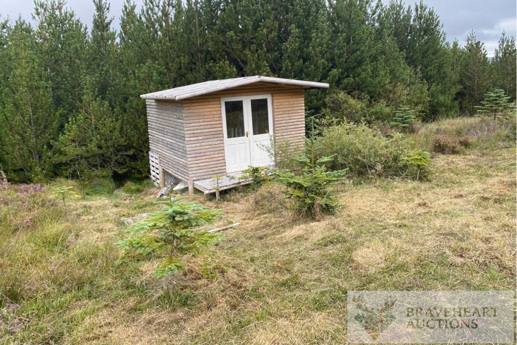 Property photo 1 of 14 Photo 13