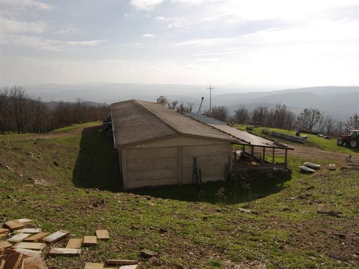 Property photo 3 of 6