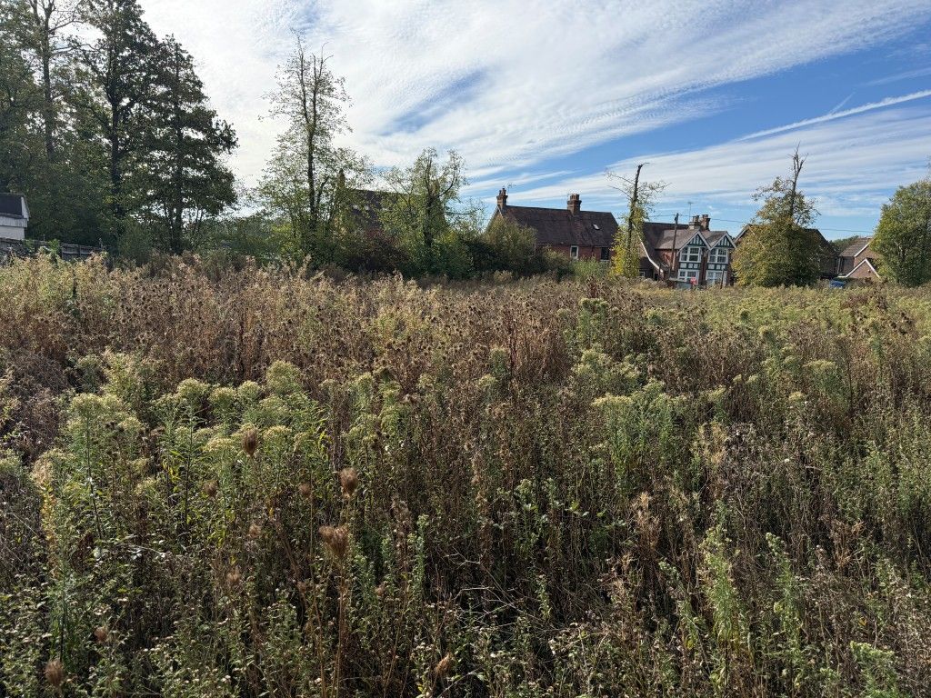 Property photo 3 of 12 View Of Land From South Boundary