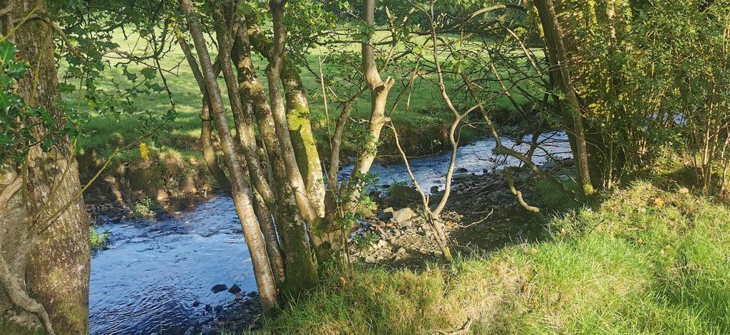 Property photo 3 of 13 River Frontage