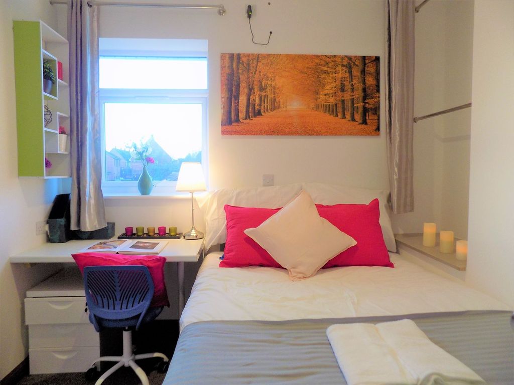 Property photo 1 of 8 Bright, Neatly Presented Double Bedroom With A Coz...