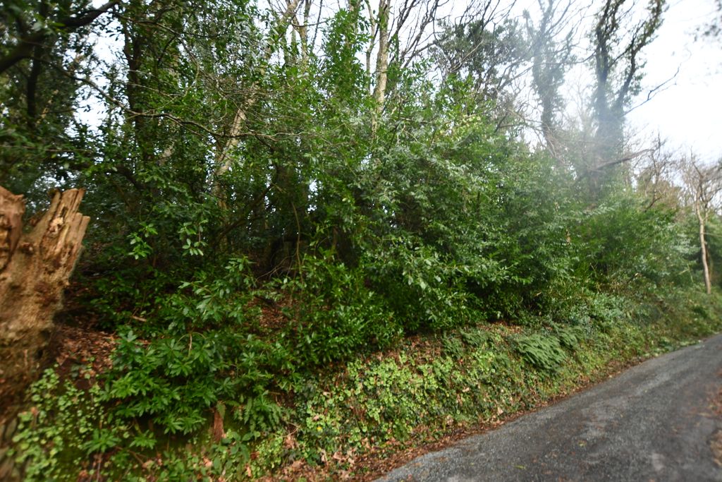 Property photo 2 of 3