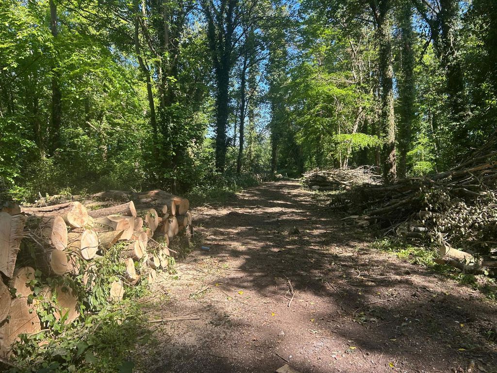 Property photo 1 of 4