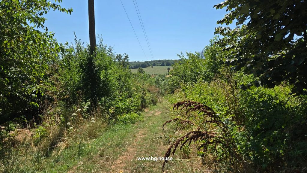 Property photo 3 of 67 Pathway Surrounded By Dense Green Bushes And Trees Leading To Open Field And Hills Under Blue Sky