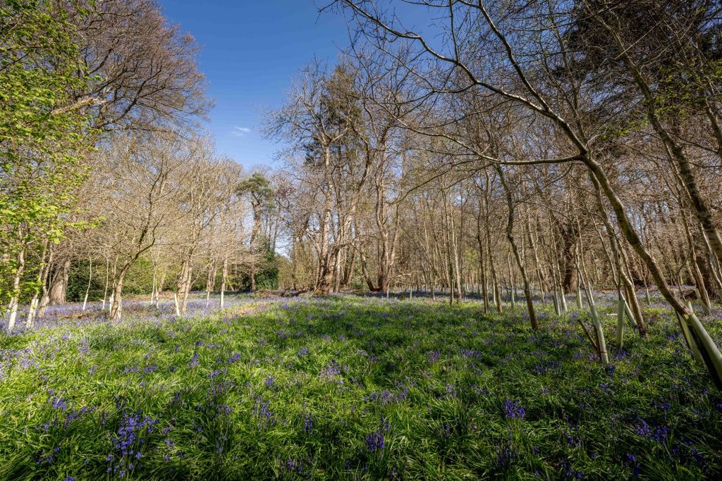Additional image 31 of 3 bed detached house for saleRackheath, Norwich NR13