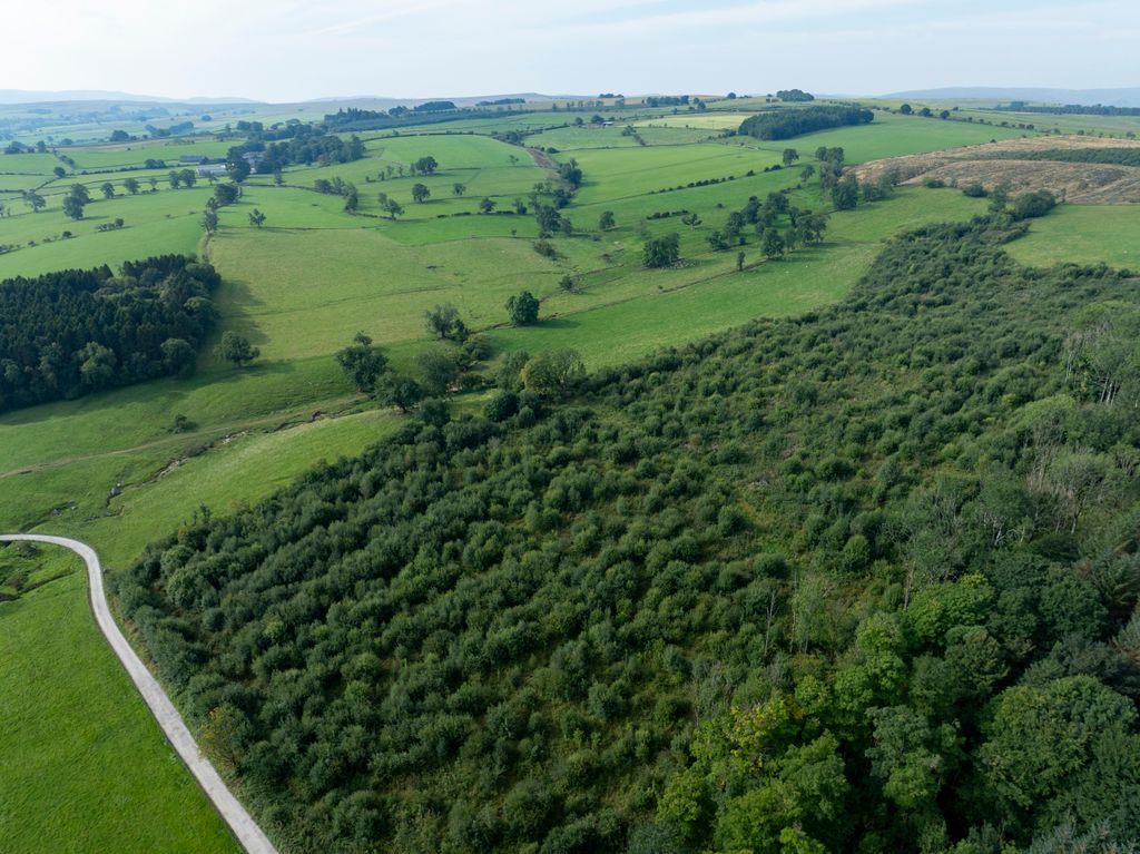 Property photo 2 of 2