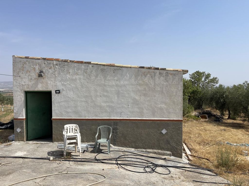 Property photo 3 of 19