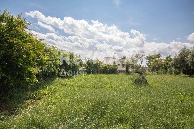 Property photo 2 of 25