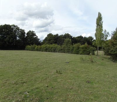Property photo 3 of 14