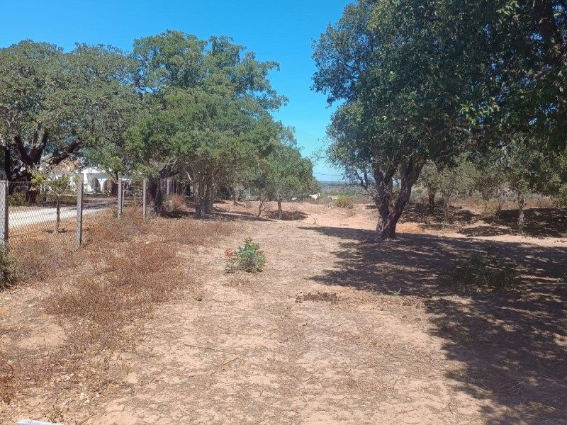 Property photo 1 of 29
