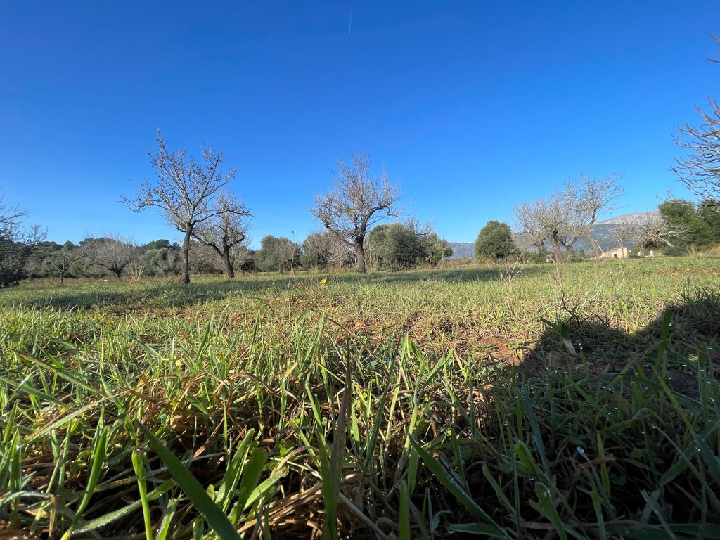 Property photo 3 of 8 5.Jpg