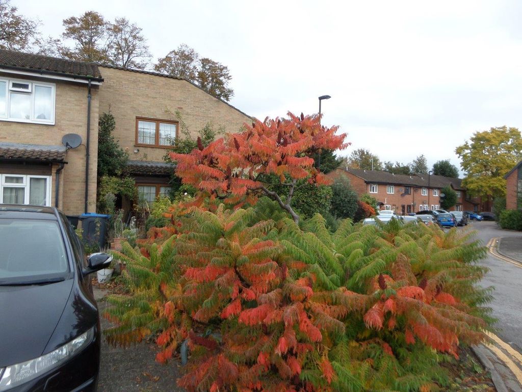 Property photo 1 of 8 Sam_0555