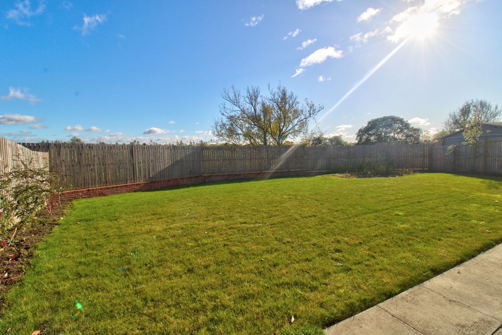 Property photo 3 of 31 Img_3457_8_9