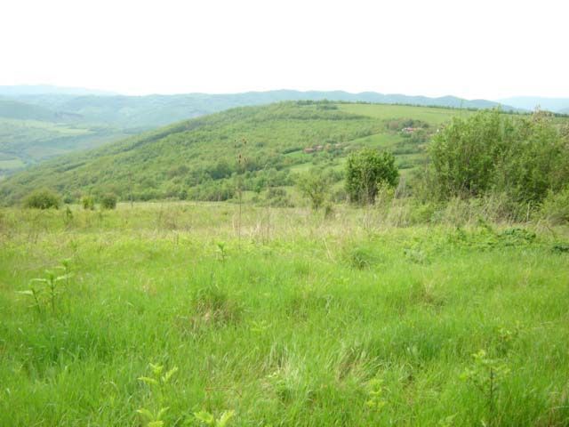 Property photo 1 of 3