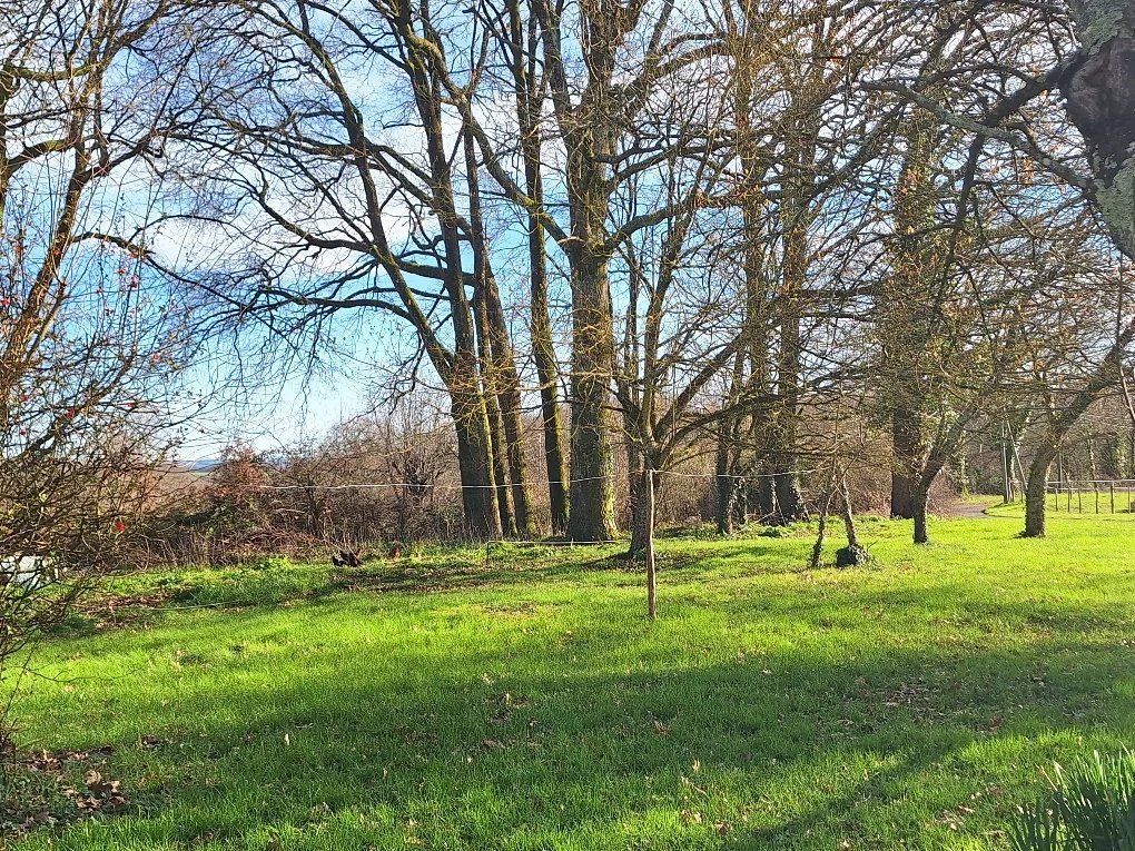 Property photo 2 of 11