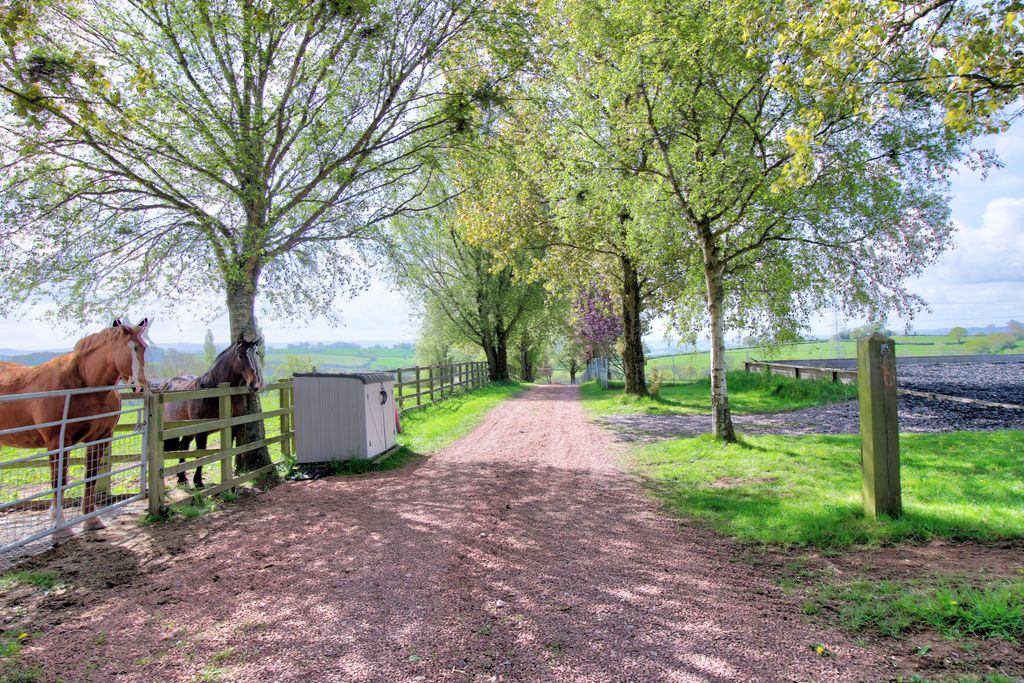 Additional image 37 of 4 bed farmhouse for saleNewcastle, Monmouth NP25
