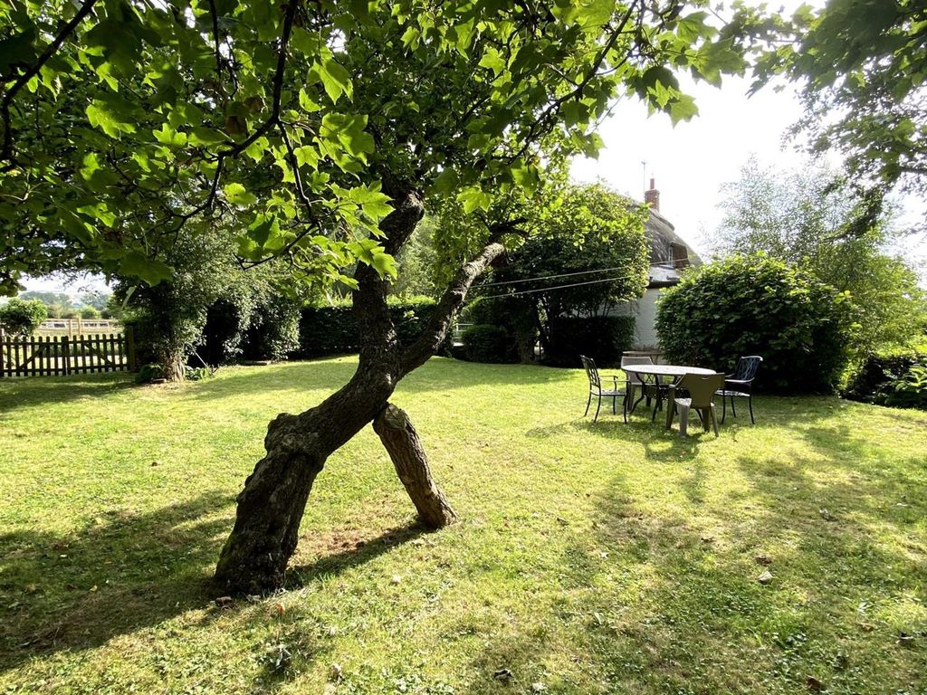 Property photo 2 of 19 Cottage Garden 1.Jpg