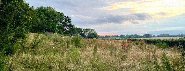 Property photo 2 of 2 Picture No. 02