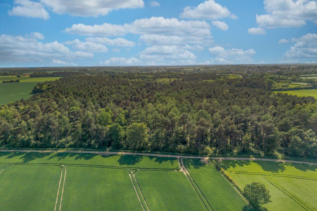 Additional image 18 of Land for saleGate Helmsley, York, North Yorkshire YO41