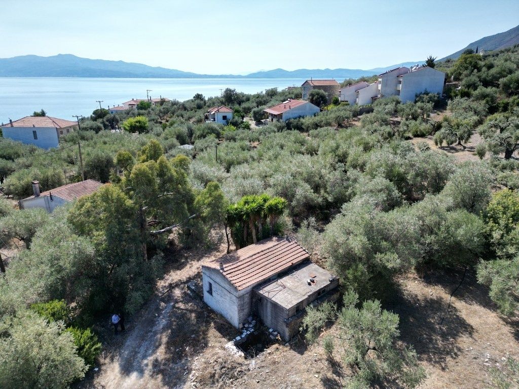 Property photo 3 of 24