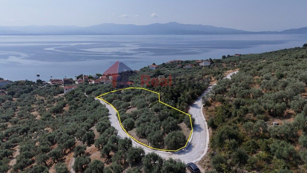 Property photo 3 of 25