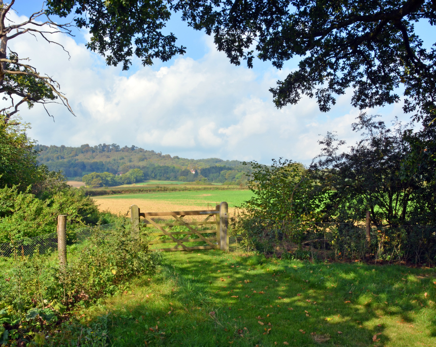 Property photo 1 of 10 Cranleigh Farm