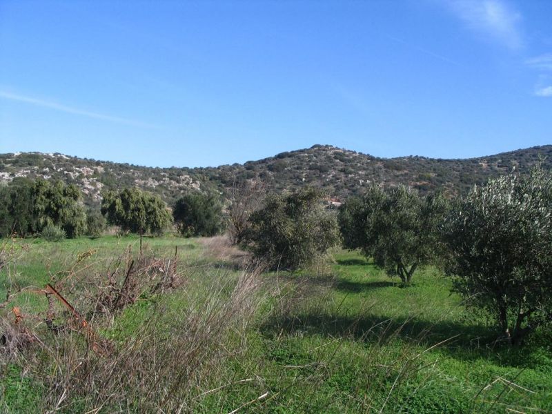 Property photo 2 of 18 Pllac3