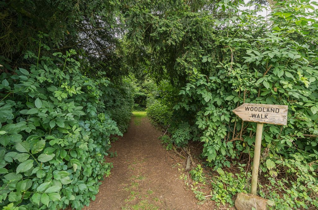 Property photo 2 of 12 Image