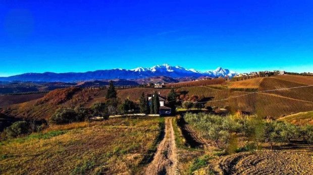 Property photo 3 of 20