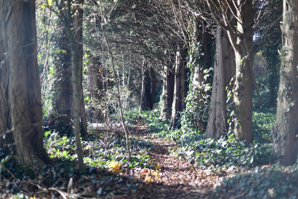 Property photo 3 of 20