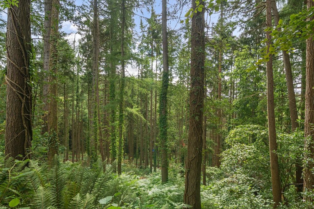 Property photo 3 of 11 Marley Wood