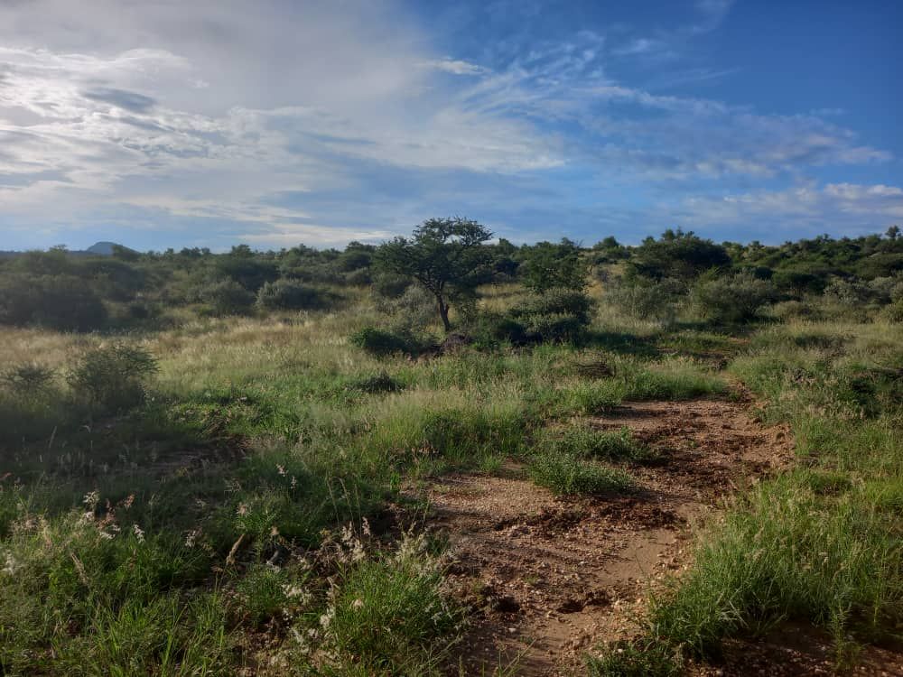 Property photo 2 of 7