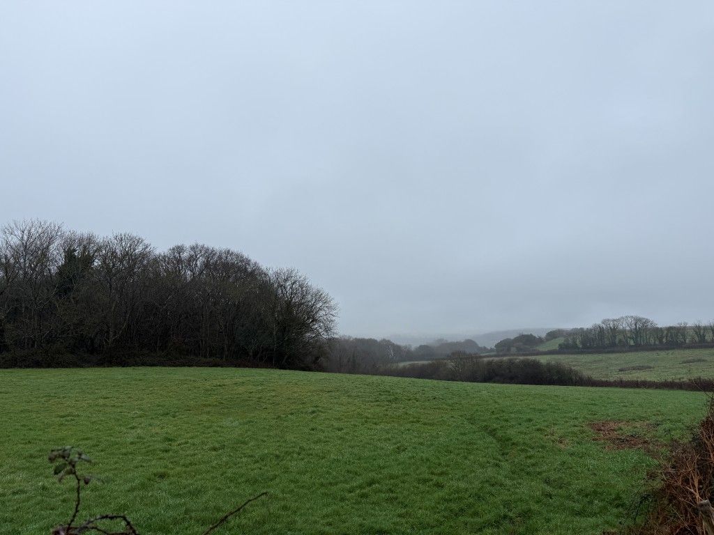 Property photo 2 of 4 Grassland