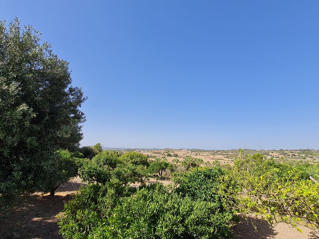 Property photo 2 of 6 02.Jpg