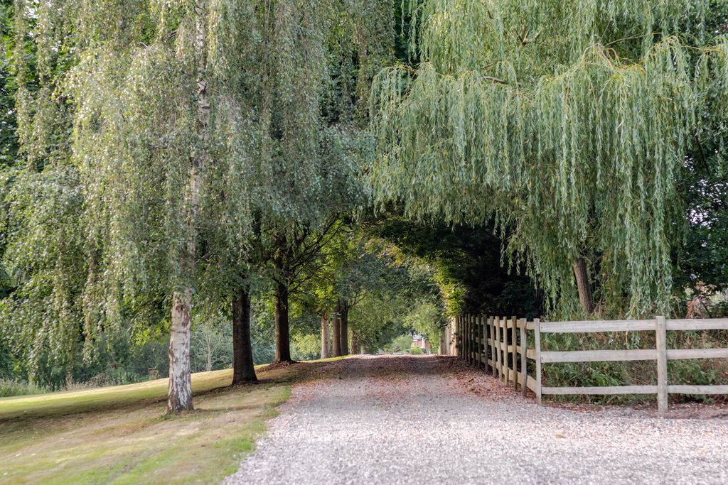 Property photo 2 of 48