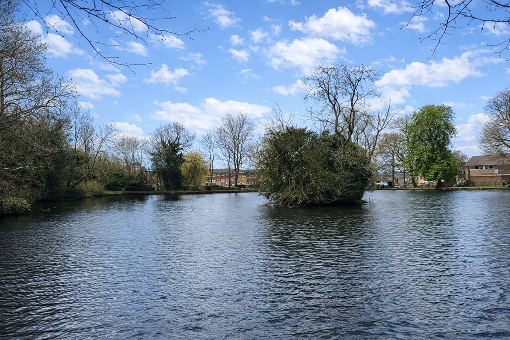 Property photo 3 of 13 Picture No. 31