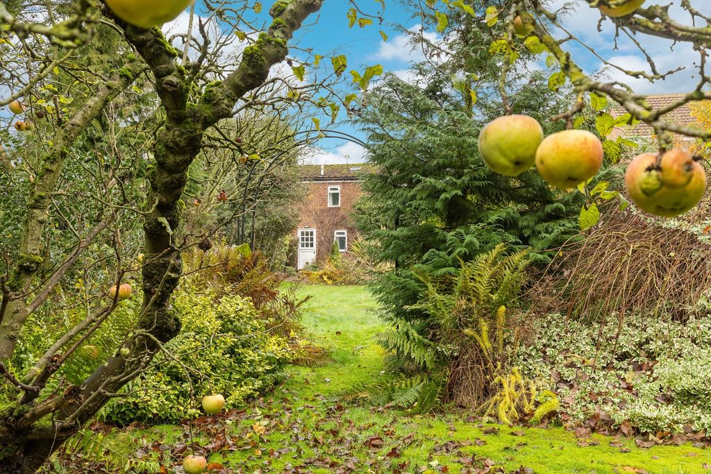 Property photo 3 of 25 Rear Garden