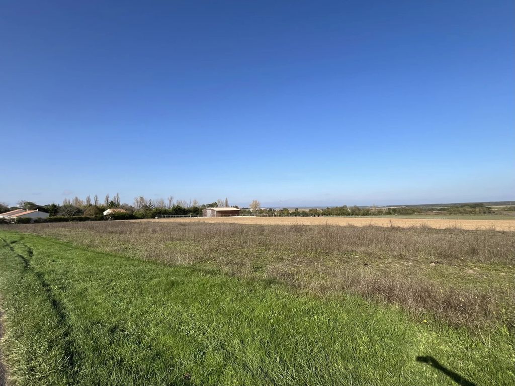 Property photo 1 of 4