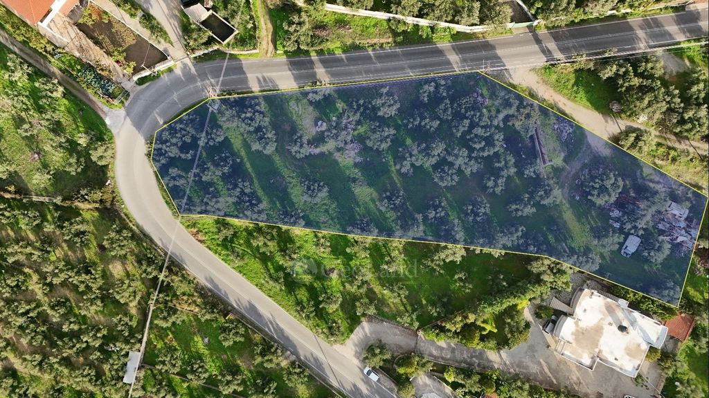 Property photo 3 of 10