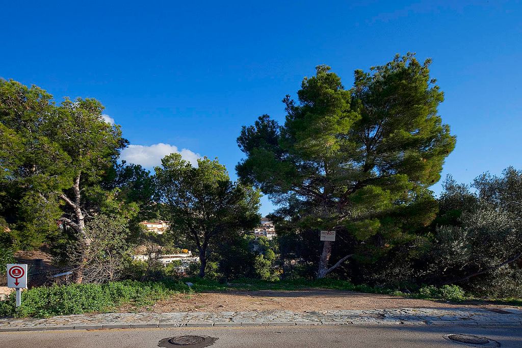 Property photo 3 of 3 Long03_54291_Costablanes
