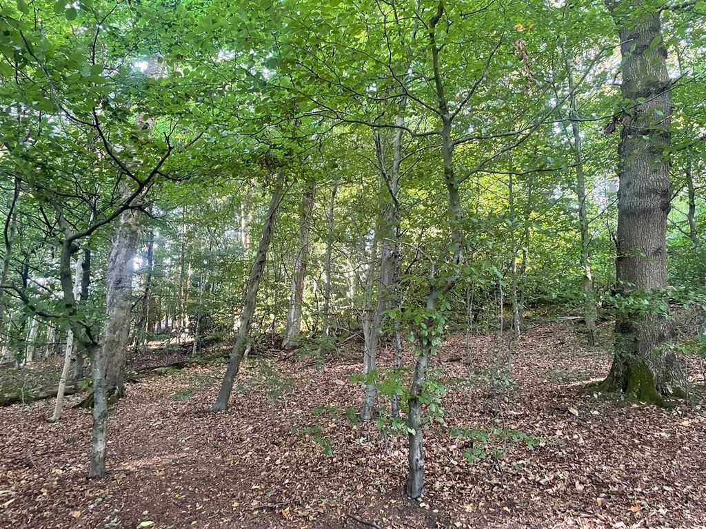 Property photo 3 of 17 0Ed0964d-Ea6d-46B8-Addb-6Dddc8Bc1c79.Jpg