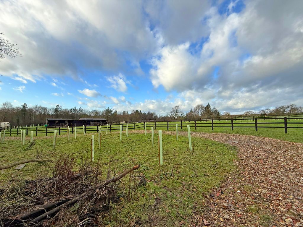 Property photo 3 of 13 Img_6587