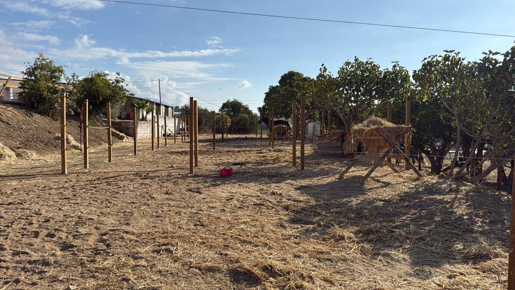 Property photo 3 of 67