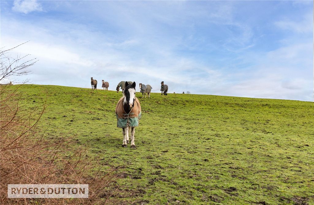 Property photo 2 of 38 Picture No. 37