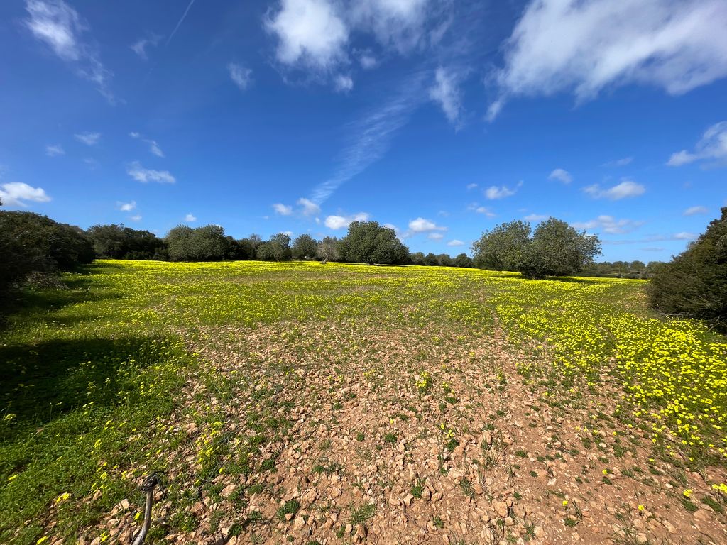 Property photo 1 of 7 1.Jpg