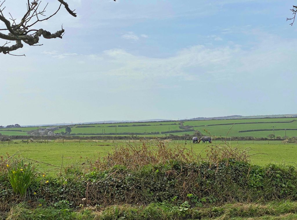 Property photo 2 of 17 Photo 2