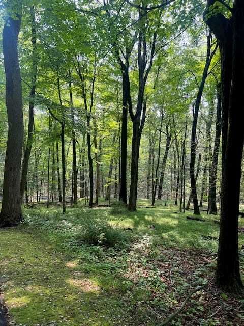 Property photo 2 of 4 <Alttext/>
