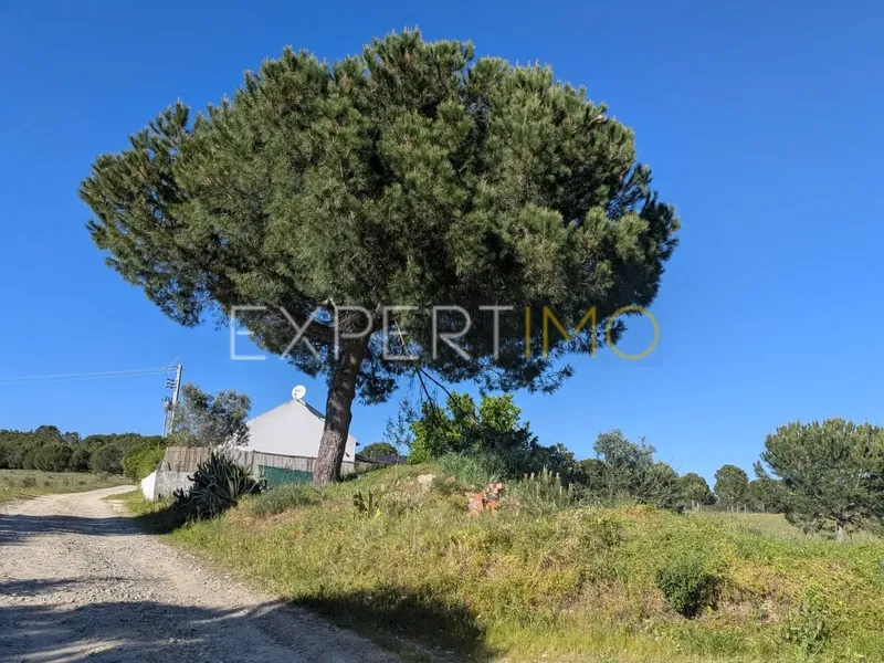 Property photo 3 of 8 Img 2