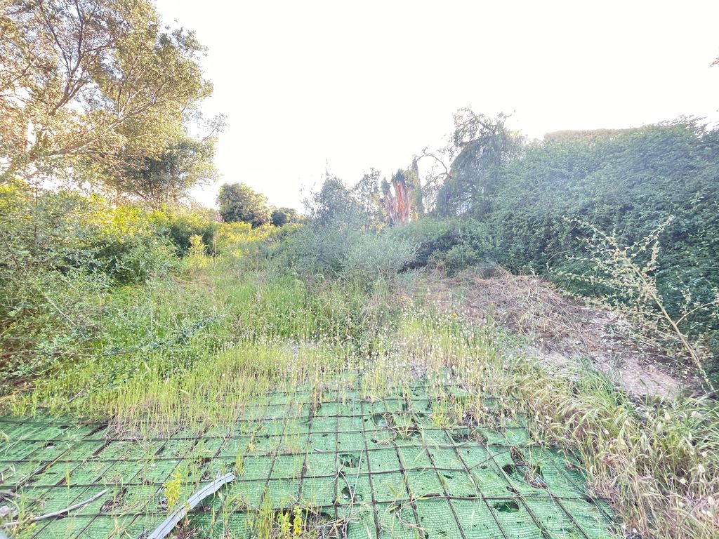 Property photo 2 of 4 2 83647 Plot Rear View A.Jpg